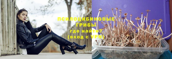 гашик Волоколамск