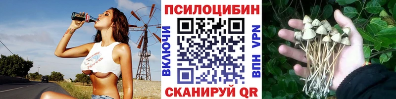 Псилоцибиновые грибы мухоморы  Инза 